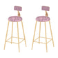 Round Scandinavian Low Back Counter & Bar Stool Metal Counter Chair with Cushion Gold Pink 2 Piece Set Clearhalo 'Bar Furniture' 'Bar Stools' 'bar_stools' 'furn' 'furn_bar_stools' 'Furniture' 'furniture_bar_stools' 'Kitchen & Dining Furniture' 5080372
