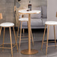 Scandinavian Coffee Shop Counter Stools Footrest Metal Backrest Gold Frame Bar Stool Clearhalo 'Bar Furniture' 'Bar Stools' 'bar_stools' 'furn' 'furn_bar_stools' 'Furniture' 'furniture_bar_stools' 'Kitchen & Dining Furniture' 5080556