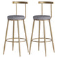 Scandinavian Coffee Shop Counter Stools Footrest Metal Backrest Gold Frame Bar Stool Grey 2 Piece Set Bar Stool(30"H) Clearhalo 'Bar Furniture' 'Bar Stools' 'bar_stools' 'furn' 'furn_bar_stools' 'Furniture' 'furniture_bar_stools' 'Kitchen & Dining Furniture' 5080557