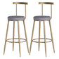 Scandinavian Coffee Shop Counter Stools Footrest Metal Backrest Gold Frame Bar Stool Grey 2 Piece Set Counter Stool(26"H) Clearhalo 'Bar Furniture' 'Bar Stools' 'bar_stools' 'furn' 'furn_bar_stools' 'Furniture' 'furniture_bar_stools' 'Kitchen & Dining Furniture' 5080561
