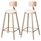 Scandinavian Coffee Shop Counter Stools Footrest Metal Backrest Gold Frame Bar Stool White 2 Piece Set Bar Stool(30"H) Clearhalo 'Bar Furniture' 'Bar Stools' 'bar_stools' 'furn' 'furn_bar_stools' 'Furniture' 'furniture_bar_stools' 'Kitchen & Dining Furniture' 5080569