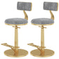 Indoor Footrest Counter Chair Adjustable Height Metal Swivel Counter Bar Stool Grey 2 Piece Set Short (16"-23") Clearhalo 'Bar Furniture' 'Bar Stools' 'bar_stools' 'furn' 'furn_bar_stools' 'Furniture' 'furniture_bar_stools' 'Kitchen & Dining Furniture' 5080694