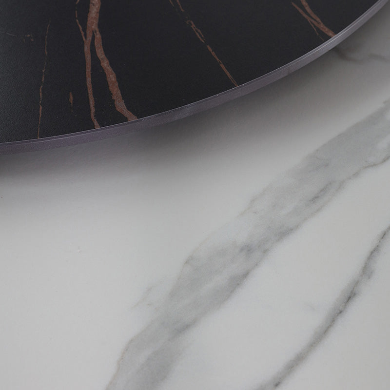 Modern Round Dinette Set 1/4/7 Pieces Sintered Stone Top Dining Table Set with Turntable Clearhalo 'Dining Room Sets' 'Dining Tables & Seating' 'dining_room_set' 'furn' 'furn_dining_room_set' 'Furniture' 'furniture_dining_room_set' 'Kitchen & Dining Furniture' 5081113