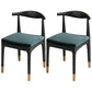 Modern Side Dining Chairs Wooden Dining Chairs for Dining Room Black 2 Piece Set Clearhalo 'Dining Chairs' 'Dining Tables & Seating' 'dining_chair' 'furn' 'furn_dining_chair' 'Furniture' 'furniture_dining_chair' 'Kitchen & Dining Furniture' 5082027