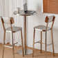 Metal Industrial Round Dining Table Steel Top Table with Pedestal Base Clearhalo 'Dining Tables & Seating' 'Dining Tables' 'dining_table' 'furn' 'furn_dining_table' 'Furniture' 'furniture_dining_table' 'Kitchen & Dining Furniture' 5086139