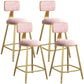 Nordic Armless Backrest Counter Stool Iron Dining Room Bar Stool with Velvet Cushion