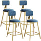 Nordic Armless Backrest Counter Stool Iron Dining Room Bar Stool with Velvet Cushion