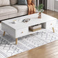 16.5"H Modern 4 Legs Wooden Base Rectangular Top Coffee Table with Storage