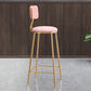 Nordic Backrest Armless Counter Stool Iron Dessert Shop Bar Stool with Cushion and Pedal
