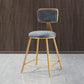 Nordic Backrest Armless Counter Stool Iron Dessert Shop Bar Stool with Cushion and Pedal
