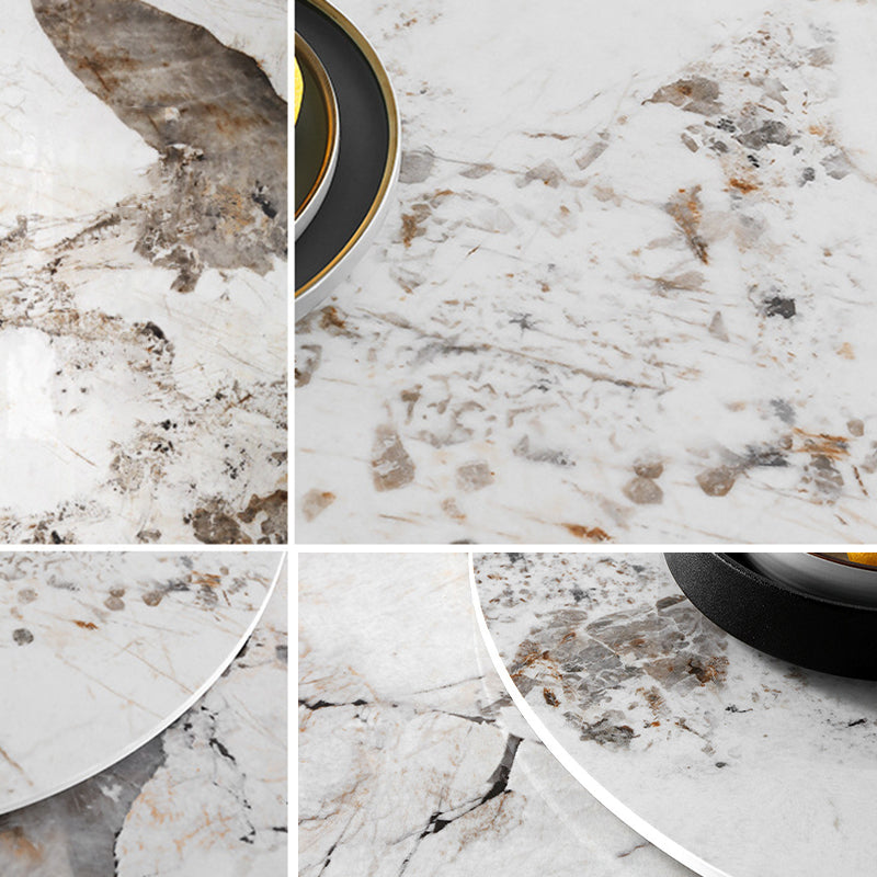 Round Sintered Stone Dining Table Stone Table in White with Pedestal Clearhalo 'Dining Tables & Seating' 'Dining Tables' 'dining_table' 'furn' 'furn_dining_table' 'Furniture' 'Kitchen & Dining Furniture' 5119013