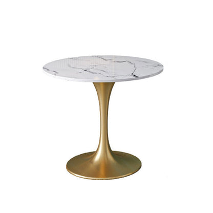 Glam Style Sintered Stone Dining Set 1/2/3/4/5 Pieces Dining Set