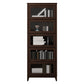 Espresso Shelf Bookcase Modern & Contemporary Bookshelf with Doors for Study Room