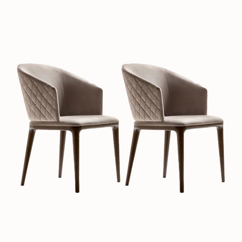 Dining Room Side Chair Contemporary Arm Kitchen Chairs for Home 2 Piece Set Clearhalo 'Dining Chairs' 'Dining Tables & Seating' 'dining_chair' 'furn' 'furn_dining_chair' 'Furniture' 'Kitchen & Dining Furniture' 5149039