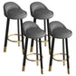 Reception Low Back Scandinavian Stool Matte Finish Upholstered Bar Stools