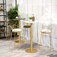 Glam 1/2/3/4/5 Pieces Round Bar Table Set Fixed Table Counter Set for Dining Room Clearhalo 'Bar Furniture' 'furn' 'furn_home_bar_bar_sets' 'Furniture' 'Home Bars & Bar Sets' 'home_bar_bar_sets' 'Kitchen & Dining Furniture' 5160984