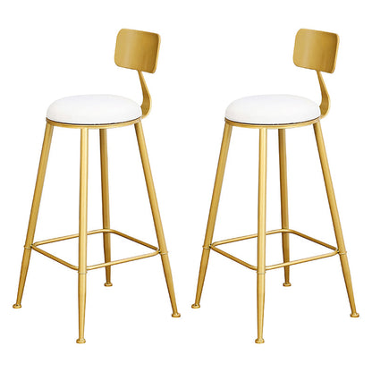 Glam 1/2/3/4/5 Pieces Round Bar Table Set Fixed Table Counter Set for Dining Room White 30"H Stools (Set of 2) Clearhalo 'Bar Furniture' 'furn' 'furn_home_bar_bar_sets' 'Furniture' 'Home Bars & Bar Sets' 'home_bar_bar_sets' 'Kitchen & Dining Furniture' 5160992