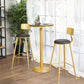 Glam 1/2/3/4/5 Pieces Round Bar Table Set Fixed Table Counter Set for Dining Room Clearhalo 'Bar Furniture' 'furn' 'furn_home_bar_bar_sets' 'Furniture' 'Home Bars & Bar Sets' 'home_bar_bar_sets' 'Kitchen & Dining Furniture' 5161002