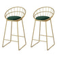 Glam 1/2/5 Pieces Round Bar Table Set Fixed Table Counter Set for Dining Room Green 30"H Stools (Set of 2) Clearhalo 'Bar Furniture' 'furn' 'furn_home_bar_bar_sets' 'Furniture' 'Home Bars & Bar Sets' 'home_bar_bar_sets' 'Kitchen & Dining Furniture' 5161188