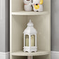 Modern Standard Bookcase Wooden Bookshelf with Rectangle Shelves
