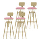 Glam Rotatable Backrest Counter Stool Iron Cafe Bar Stool with Cushion and Pedal