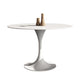 Sintered Stone Home Dining Table Modern Pedestal Dining Room Table