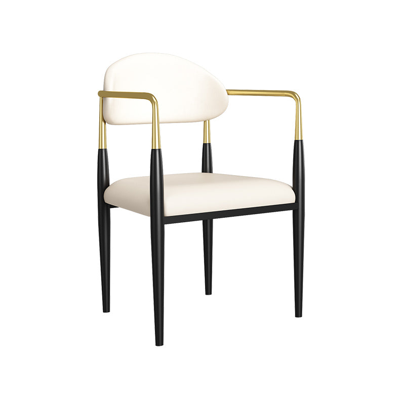 Dining Room Side Chairs Industrial Open Kitchen Chair for Home White 1 Piece Clearhalo 'Dining Chairs' 'Dining Tables & Seating' 'dining_chair' 'furn' 'furn_dining_chair' 'Furniture' 'Kitchen & Dining Furniture' 5186467