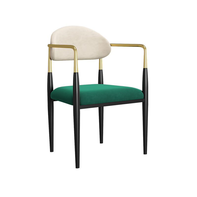 Dining Room Side Chairs Industrial Open Kitchen Chair for Home White-Green 1 Piece Clearhalo 'Dining Chairs' 'Dining Tables & Seating' 'dining_chair' 'furn' 'furn_dining_chair' 'Furniture' 'Kitchen & Dining Furniture' 5186478