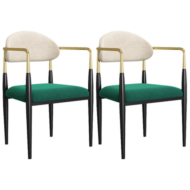 Dining Room Side Chairs Industrial Open Kitchen Chair for Home White-Green 2 Piece Set Clearhalo 'Dining Chairs' 'Dining Tables & Seating' 'dining_chair' 'furn' 'furn_dining_chair' 'Furniture' 'Kitchen & Dining Furniture' 5186479