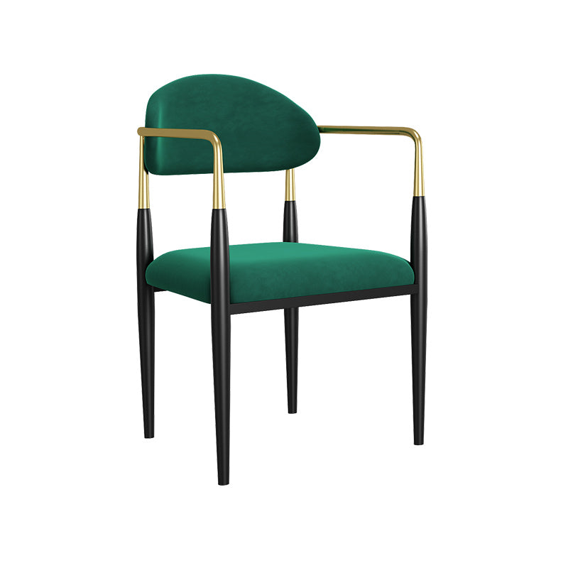 Dining Room Side Chairs Industrial Open Kitchen Chair for Home Green 1 Piece Clearhalo 'Dining Chairs' 'Dining Tables & Seating' 'dining_chair' 'furn' 'furn_dining_chair' 'Furniture' 'Kitchen & Dining Furniture' 5186481