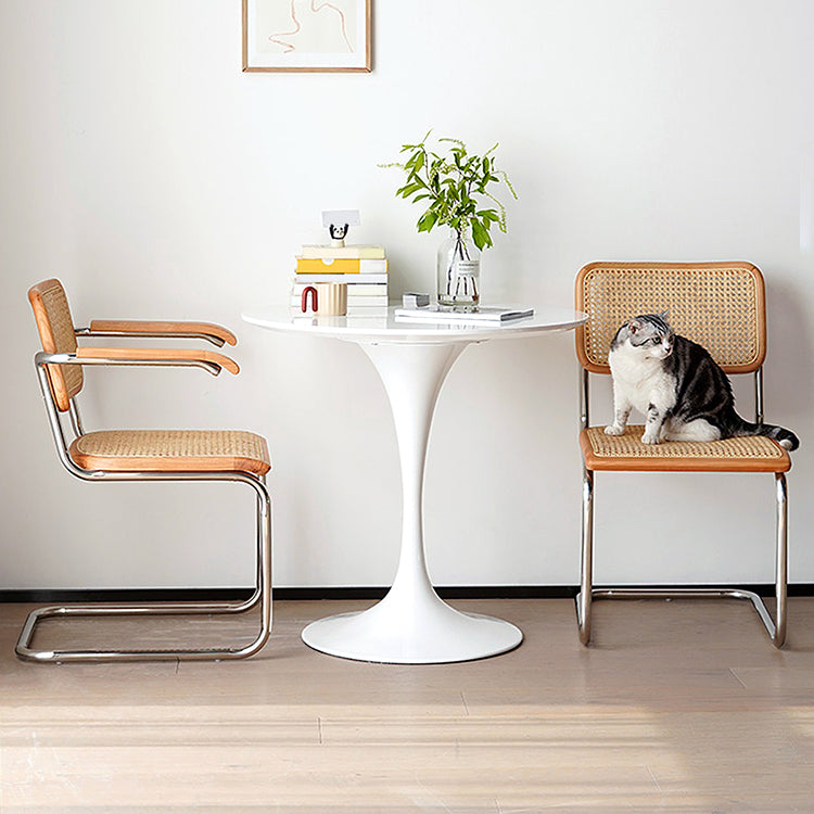 Round Shape Tulip Base Table Modern White Fixed Table with Sintered Stone