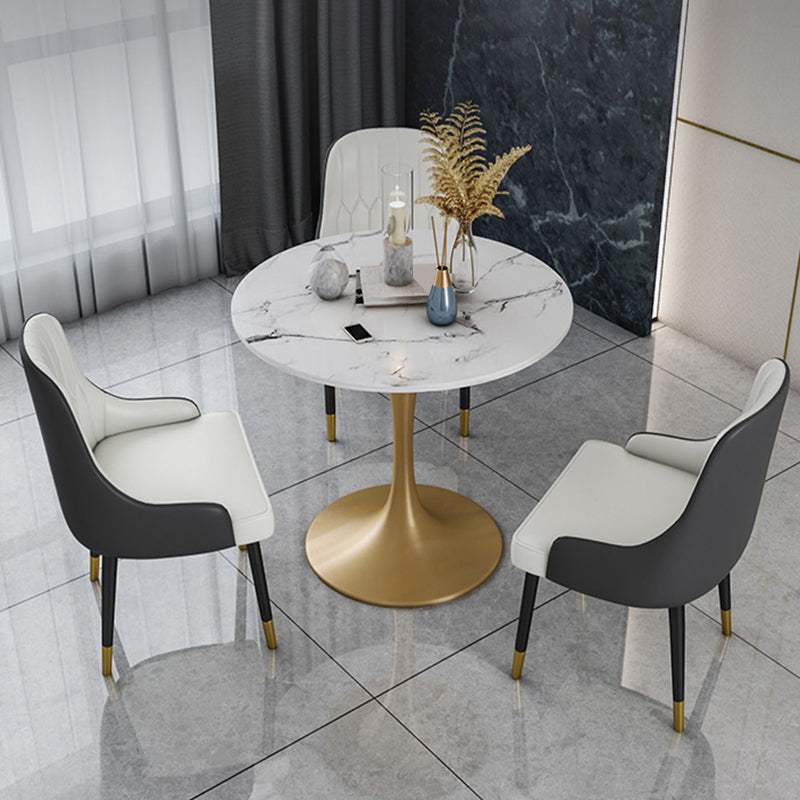 Glam Sintered Stone Dining Table Set Round 1/2/4/5 Pieces Dining Set for Home Use 4 Pieces: Table, 3 Chairs Clearhalo 'Dining Room Sets' 'Dining Tables & Seating' 'dining_room_set' 'furn' 'furn_dining_room_set' 'Furniture' 'Kitchen & Dining Furniture' 5217142