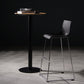 Contemporary Bar-stool Plastic Counter Bar Stool for Kitchen with Metal Legs