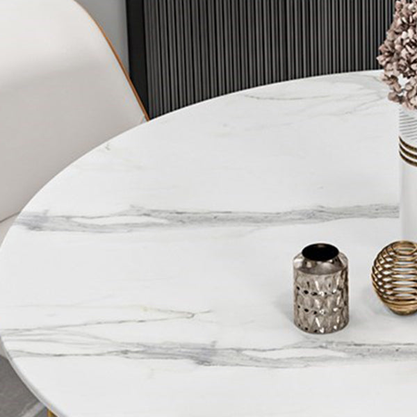 Glam Round Dining Table Set 1/2/5/7 Pieces Dinette Set with White Sintered Stone Top