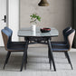 Modern Scalable Dinette Set 1/4/5/7 Pieces Round Blue Sintered Stone Top Dining Table Set 5 Pieces: Table, 4 Chairs Clearhalo 'Dining Room Sets' 'Dining Tables & Seating' 'dining_room_set' 'furn' 'furn_dining_room_set' 'Furniture' 'Kitchen & Dining Furniture' 5246075