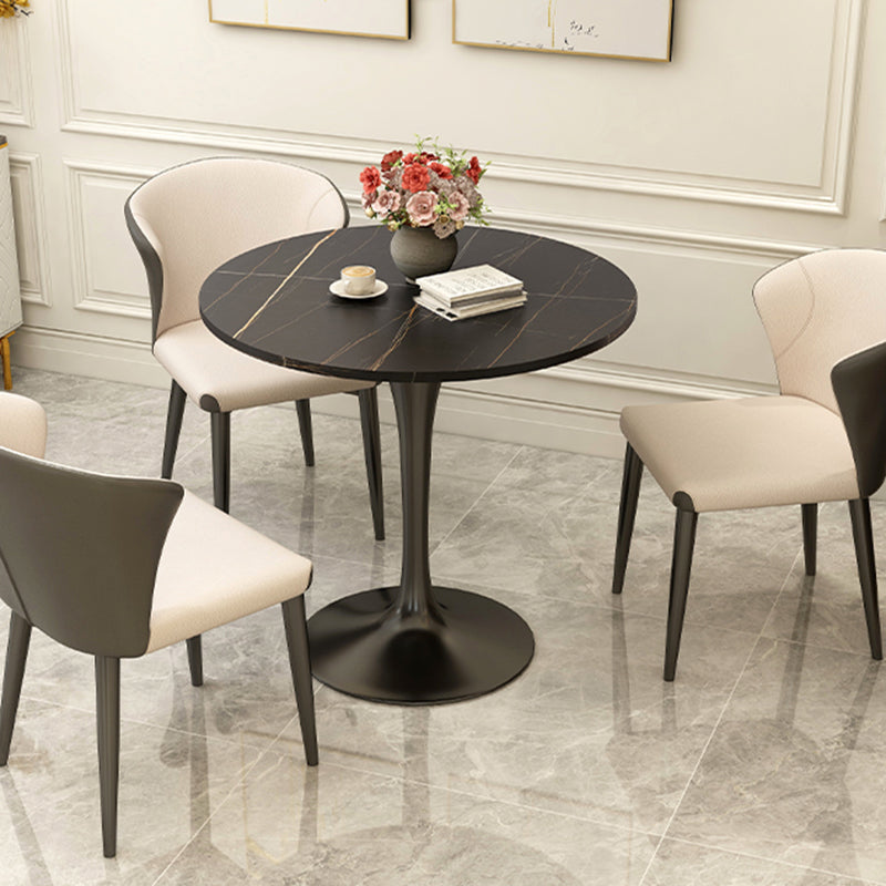 Modern Style Dining Table Sintered Stone Round Tulip Table for Dining Room Clearhalo 'Dining Tables & Seating' 'Dining Tables' 'dining_table' 'furn' 'furn_dining_table' 'Furniture' 'Kitchen & Dining Furniture' 5246399