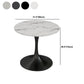 Modern Style Dining Table Sintered Stone Round Tulip Table for Dining Room Clearhalo 'Dining Tables & Seating' 'Dining Tables' 'dining_table' 'furn' 'furn_dining_table' 'Furniture' 'Kitchen & Dining Furniture' 5246408