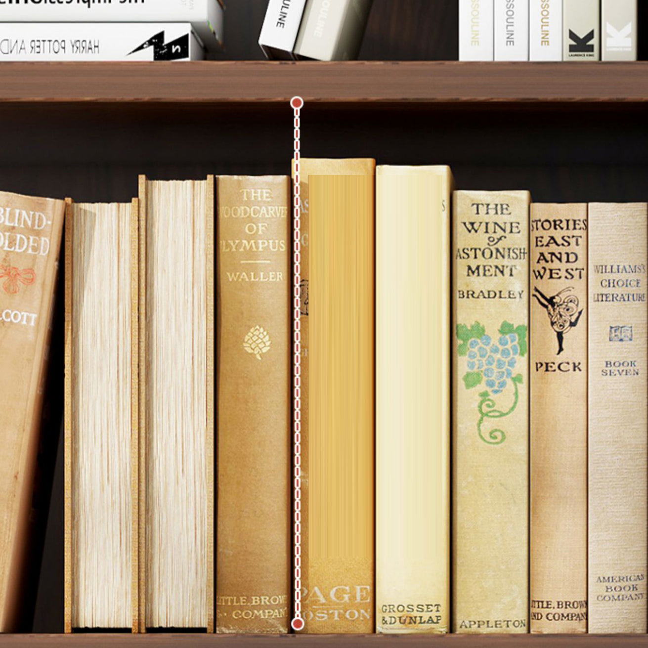 Closed Back Modern Style Bookshelf Wood Bookcase for Home Office