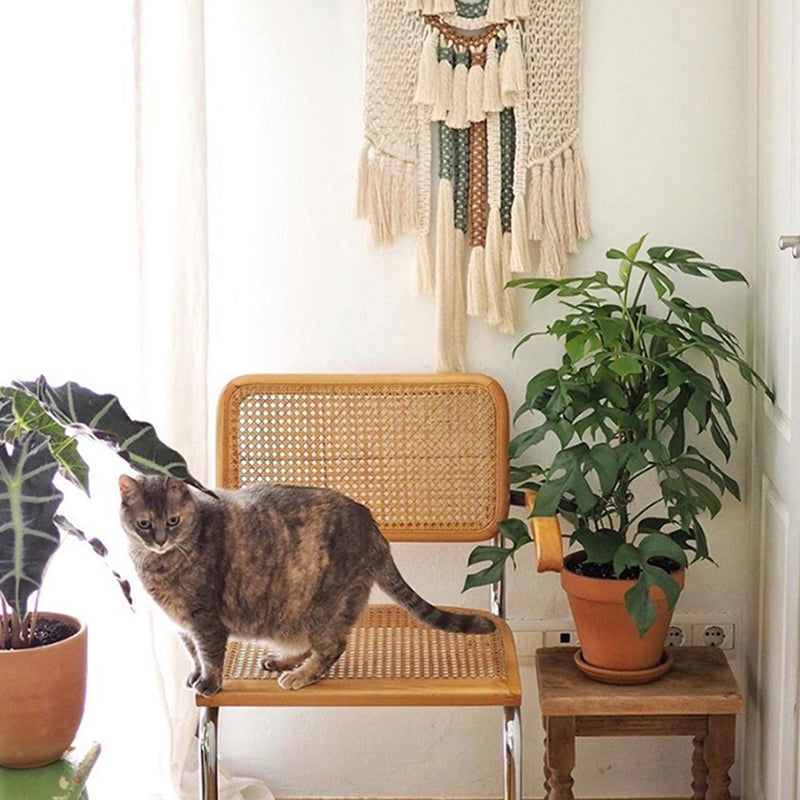 Sedia conferenze contemporanea di metallo base sedia da ufficio senza braccioli