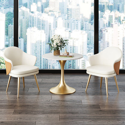 Modern Style Round Dining Table Sintered Stone Table with Tulip Base Tulip Gold 23.6"L x 23.6"W x 29.5"H Clearhalo 'Dining Tables & Seating' 'Dining Tables' 'dining_table' 'furn' 'furn_dining_table' 'Furniture' 'Kitchen & Dining Furniture' 5268856