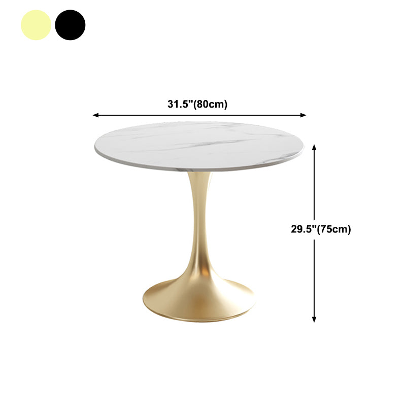 Modern Style Round Dining Table Sintered Stone Table with Tulip Base Clearhalo 'Dining Tables & Seating' 'Dining Tables' 'dining_table' 'furn' 'furn_dining_table' 'Furniture' 'Kitchen & Dining Furniture' 5268876
