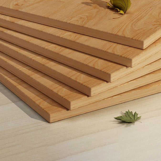 Gesloten boekenplank Engineered houten boekenkast voor studieruimte