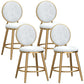 Glam Velvet Bar Stool Low Back Footrest Round Indoor Counter and Bar Stool