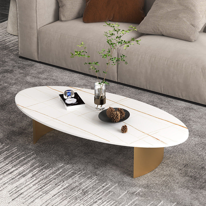 Modern Style Black Gold/white/grey Oval Coffee Table with Rock Board White Gold Clearhalo 'Coffee & Accent Tables' 'Coffee Tables' 'coffee_tables' 'furn' 'furn_coffee_tables' 'Furniture' 'Living Room Furniture' 5280943
