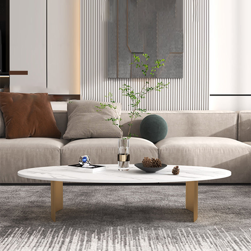 Modern Style Black Gold/white/grey Oval Coffee Table with Rock Board Clearhalo 'Coffee & Accent Tables' 'Coffee Tables' 'coffee_tables' 'furn' 'furn_coffee_tables' 'Furniture' 'Living Room Furniture' 5280946