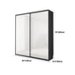 Contemporary White Storage Cabinet Mirrored Finish Cabinet with Sliding Door