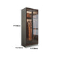 Contemporary Storage Cabinet Mirrored Finish Cabinet with Glass Door