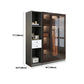 Contemporary Storage Cabinet Mirrored Finish Cabinet with Glass Door