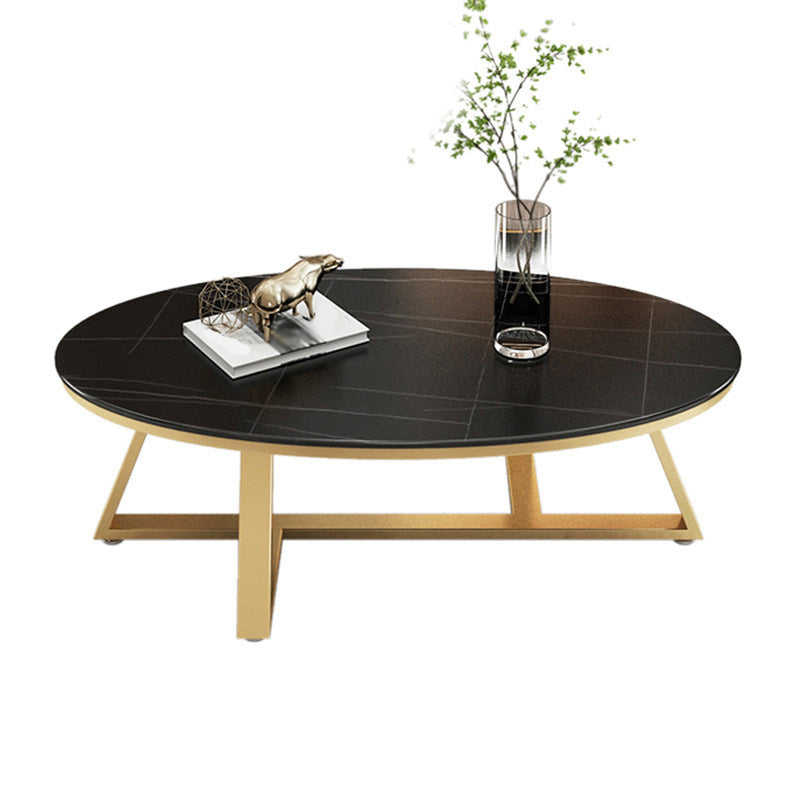 Modern Style Solid Slate Top White Gold/white/black Gold/grey Oval Coffee Table Clearhalo 'Coffee & Accent Tables' 'Coffee Tables' 'coffee_tables' 'furn' 'furn_coffee_tables' 'Furniture' 'Living Room Furniture' 5288996