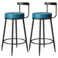 Contemporary  Low Back Home Stool Matte Finish Upholstered Bar Stools